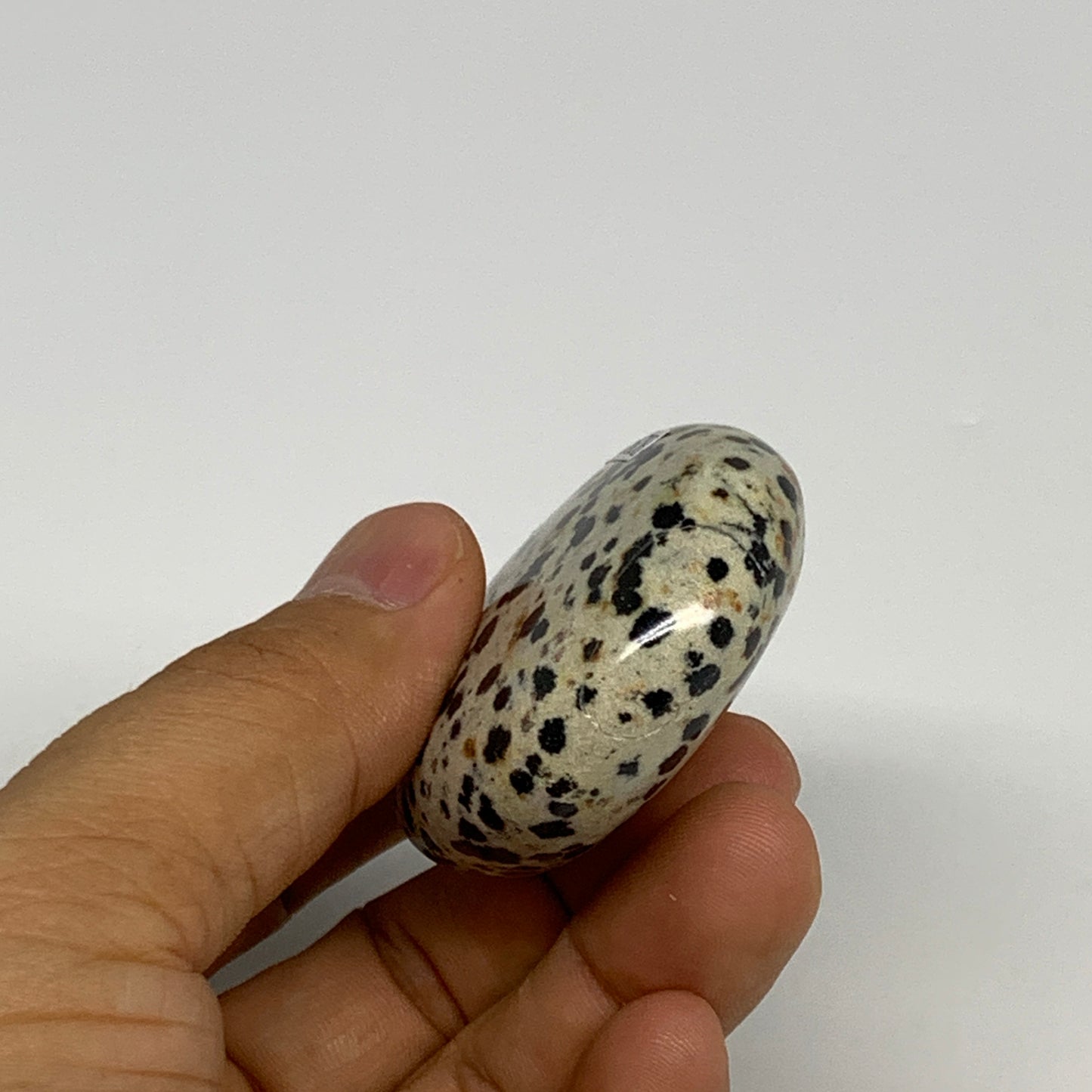 76.3g, 2.2"x1.8"x0.8", Natural Dalmatian Jasper Palm-Stone @India, B29451