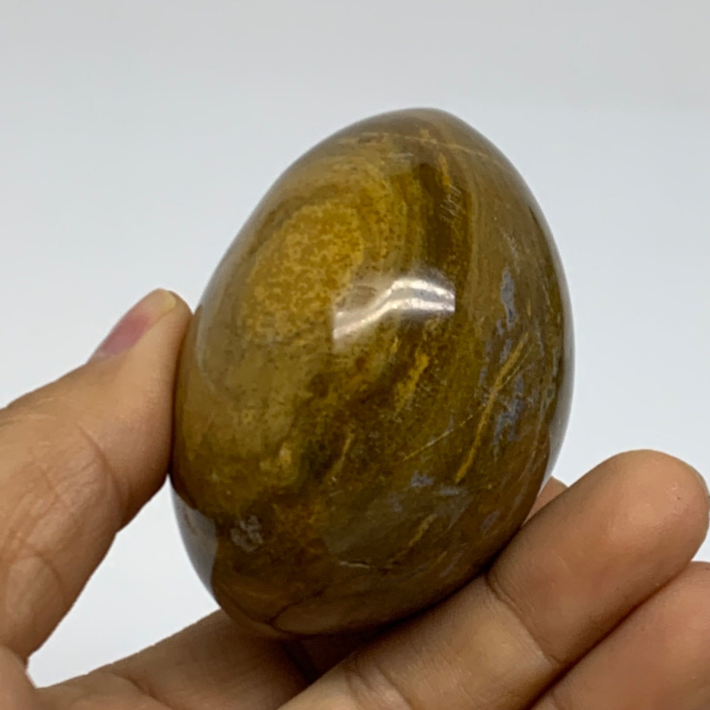 211.8g, 2.5"x2.4"x1.7" Natural Ocean Jasper Palm-Stone Orbicular Jasper, B38214