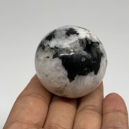 118.5g, 1.7"(43mm), Natural Rainbow Moonstone Sphere Ball Gemstone, B35146