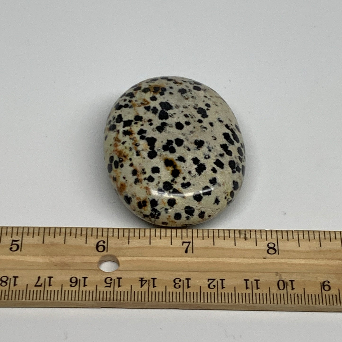 76.3g, 2.2"x1.8"x0.8", Natural Dalmatian Jasper Palm-Stone @India, B29451