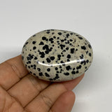 81.5g, 2.3"x1.7"x0.8", Natural Dalmatian Jasper Palm-Stone @India, B29452
