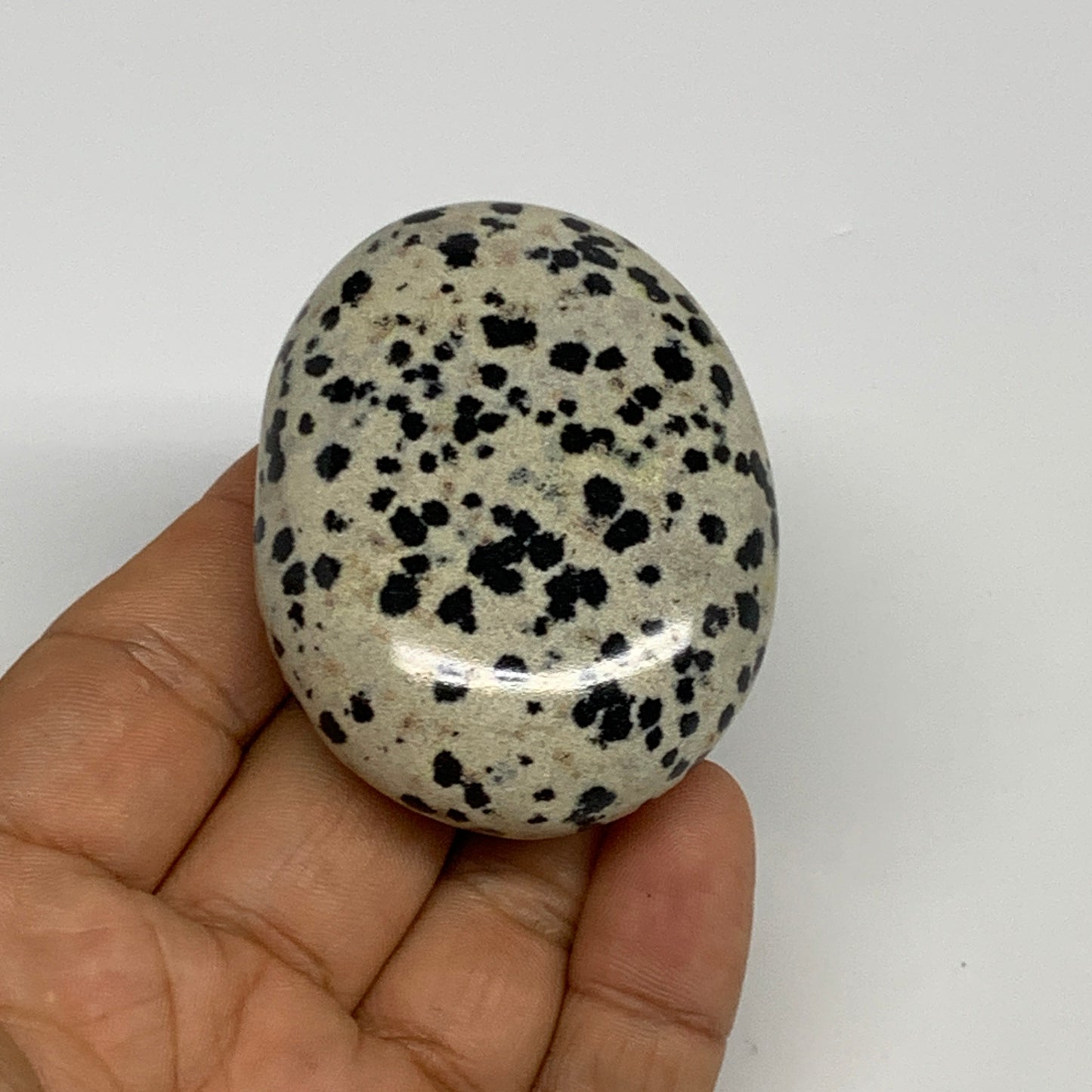81.5g, 2.3"x1.7"x0.8", Natural Dalmatian Jasper Palm-Stone @India, B29452
