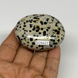 81.5g, 2.3"x1.7"x0.8", Natural Dalmatian Jasper Palm-Stone @India, B29452