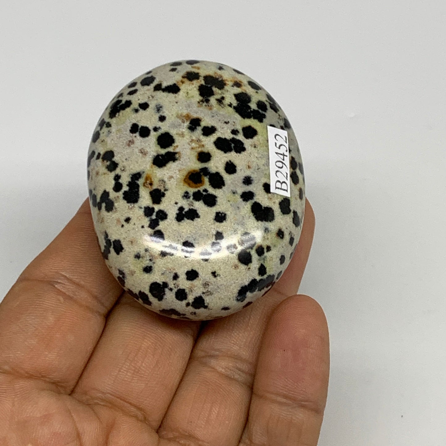 81.5g, 2.3"x1.7"x0.8", Natural Dalmatian Jasper Palm-Stone @India, B29452