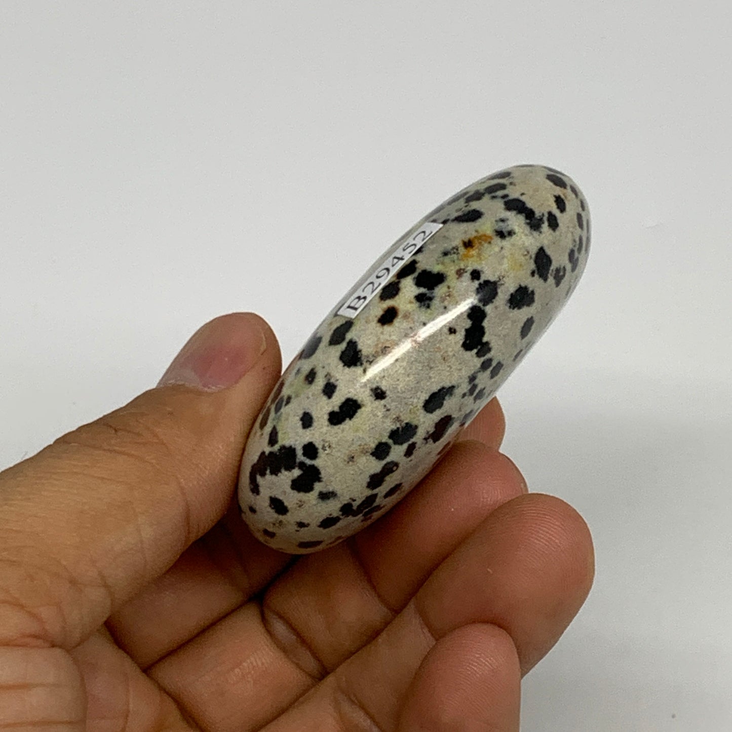 81.5g, 2.3"x1.7"x0.8", Natural Dalmatian Jasper Palm-Stone @India, B29452