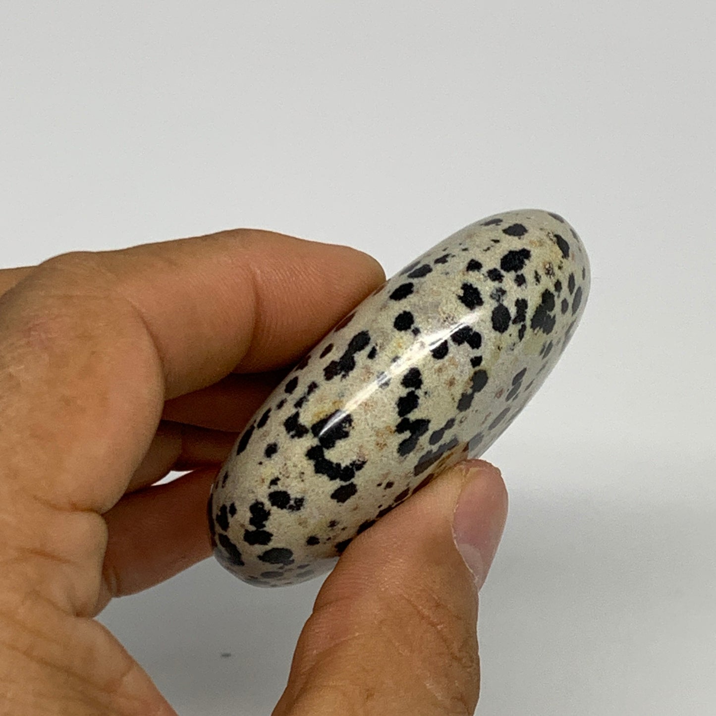 81.5g, 2.3"x1.7"x0.8", Natural Dalmatian Jasper Palm-Stone @India, B29452