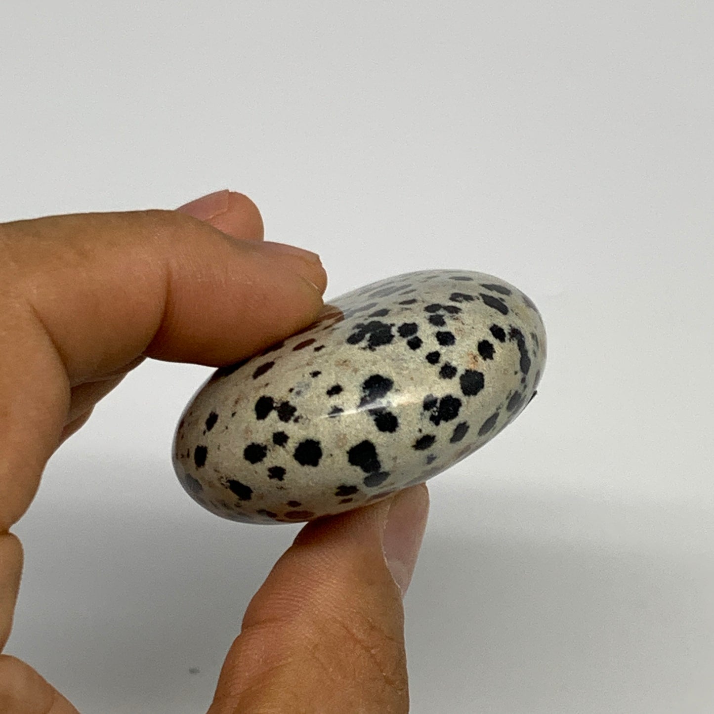 81.5g, 2.3"x1.7"x0.8", Natural Dalmatian Jasper Palm-Stone @India, B29452