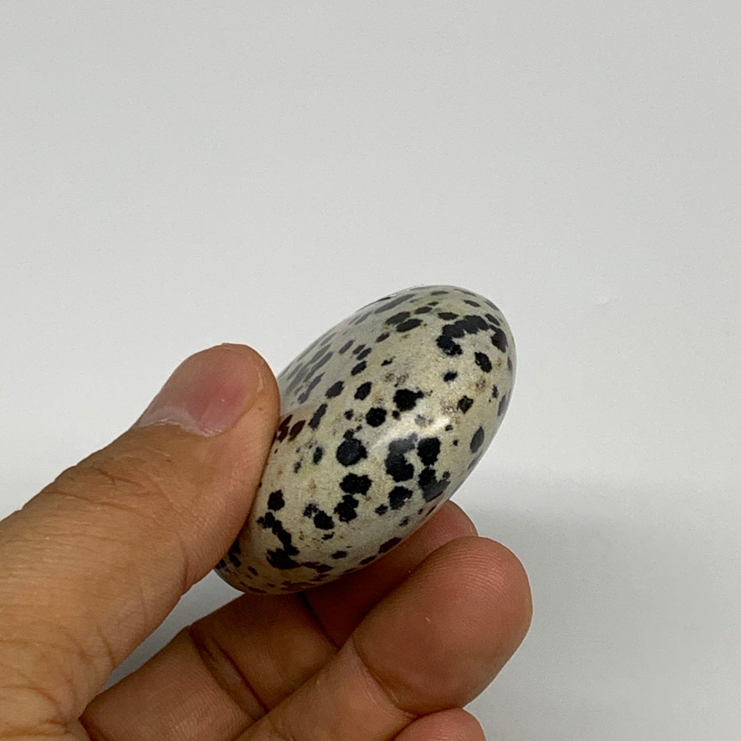 81.5g, 2.3"x1.7"x0.8", Natural Dalmatian Jasper Palm-Stone @India, B29452