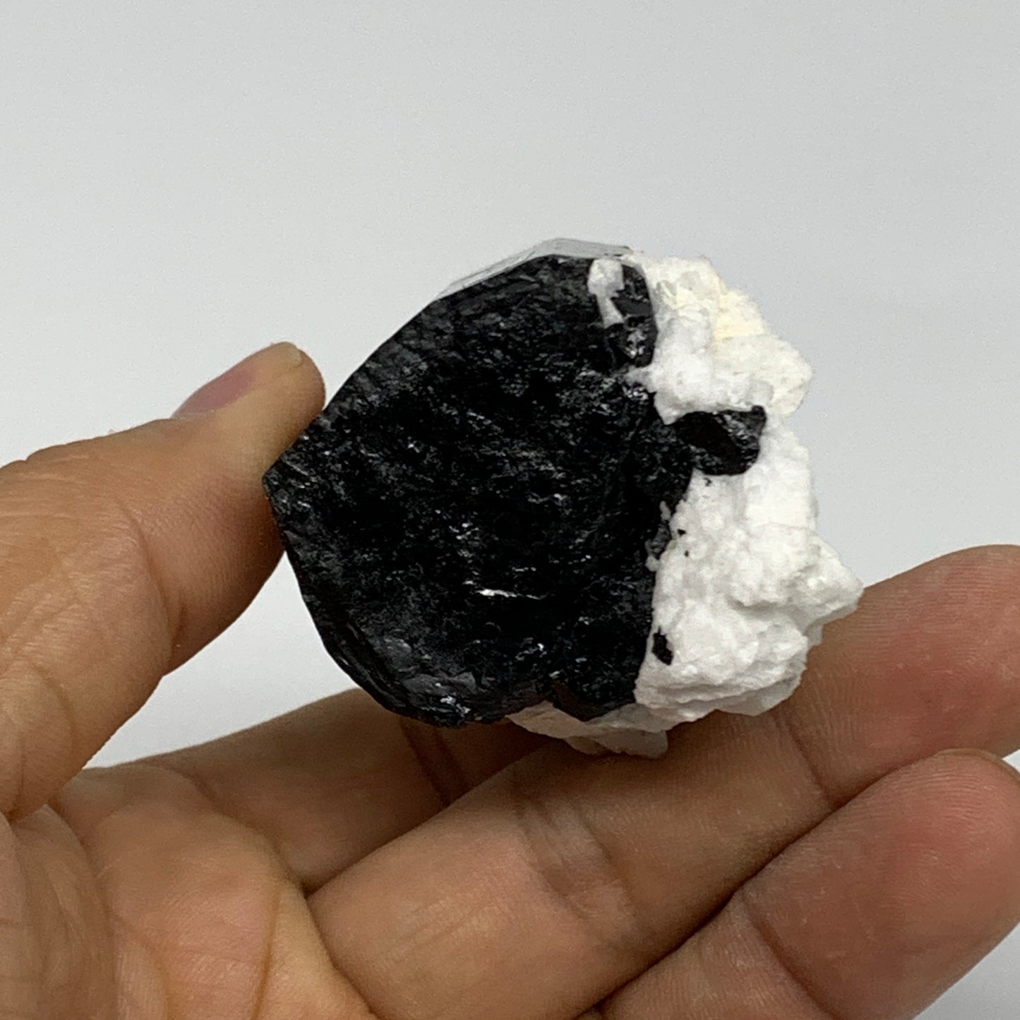 114.1g, 2.3"x1.6"x1.5", Black Tourmaline Phosphorus Mineral Specimen, B33723