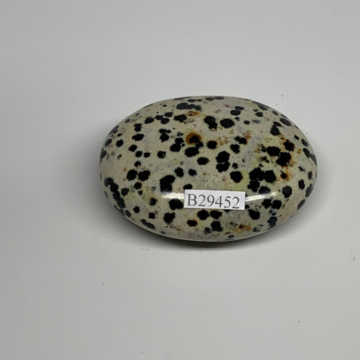 81.5g, 2.3"x1.7"x0.8", Natural Dalmatian Jasper Palm-Stone @India, B29452