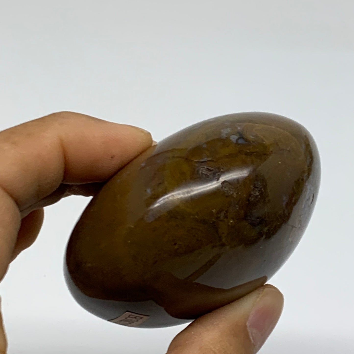 222.2g, 2.7"x2.5"x1.5" Natural Ocean Jasper Palm-Stone Orbicular Jasper, B38215