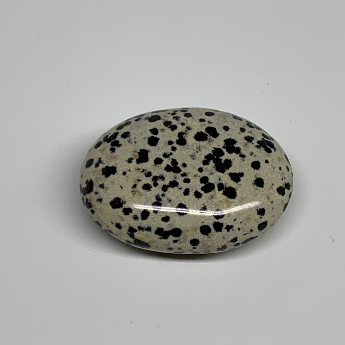 81.5g, 2.3"x1.7"x0.8", Natural Dalmatian Jasper Palm-Stone @India, B29452