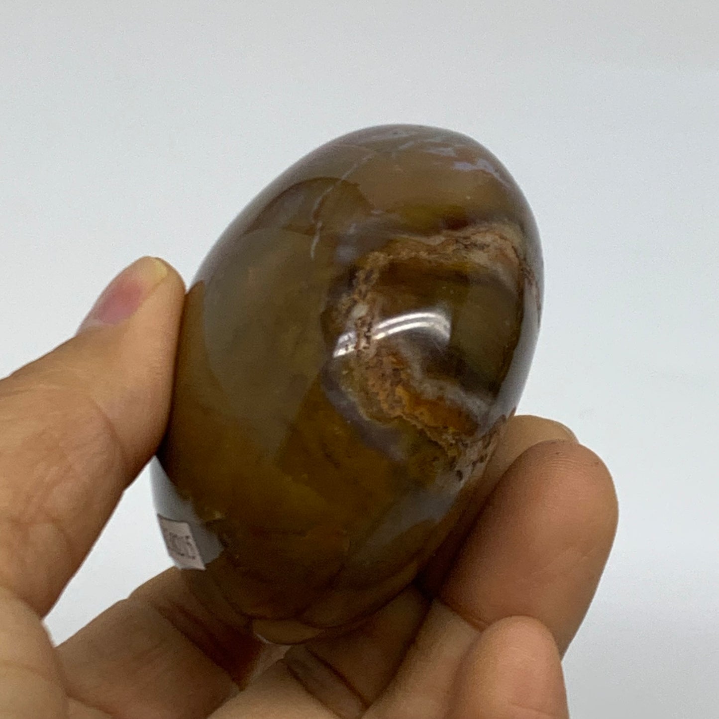 222.2g, 2.7"x2.5"x1.5" Natural Ocean Jasper Palm-Stone Orbicular Jasper, B38215