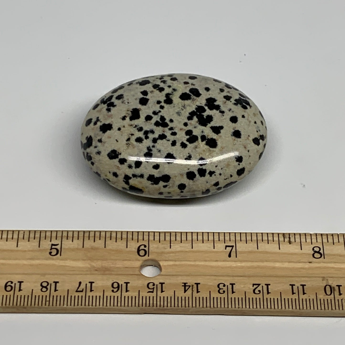 81.5g, 2.3"x1.7"x0.8", Natural Dalmatian Jasper Palm-Stone @India, B29452