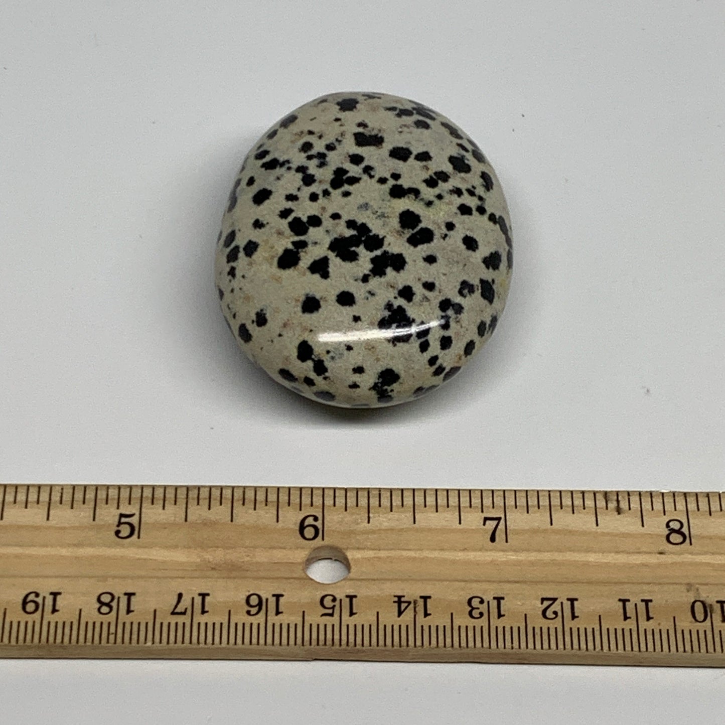 81.5g, 2.3"x1.7"x0.8", Natural Dalmatian Jasper Palm-Stone @India, B29452