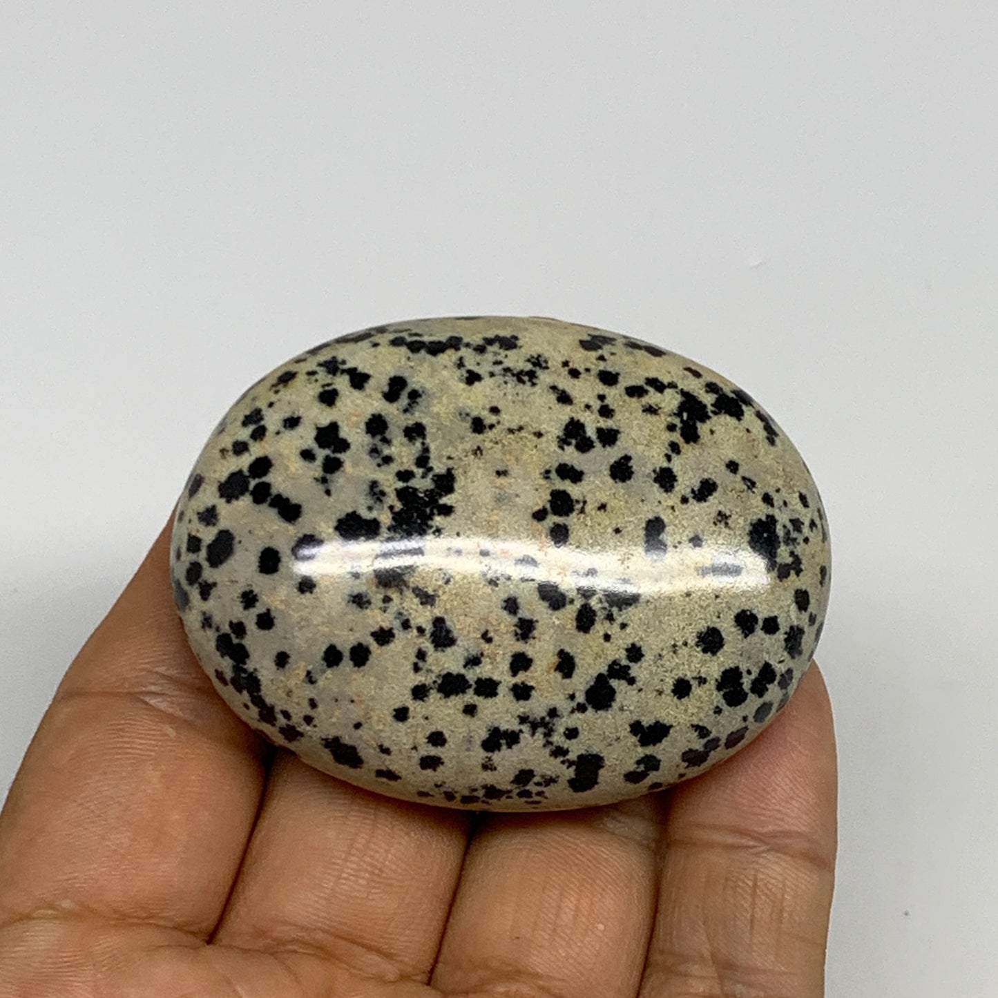 78.1g, 2.2"x1.7"x0.8", Natural Dalmatian Jasper Palm-Stone @India, B29453