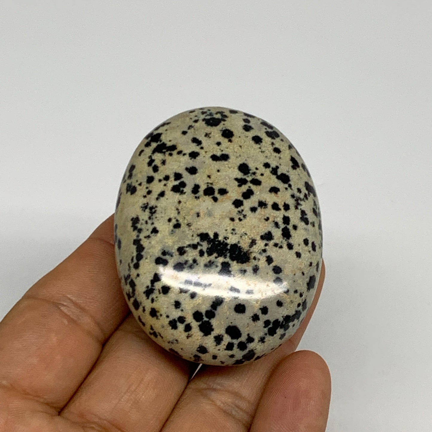 78.1g, 2.2"x1.7"x0.8", Natural Dalmatian Jasper Palm-Stone @India, B29453