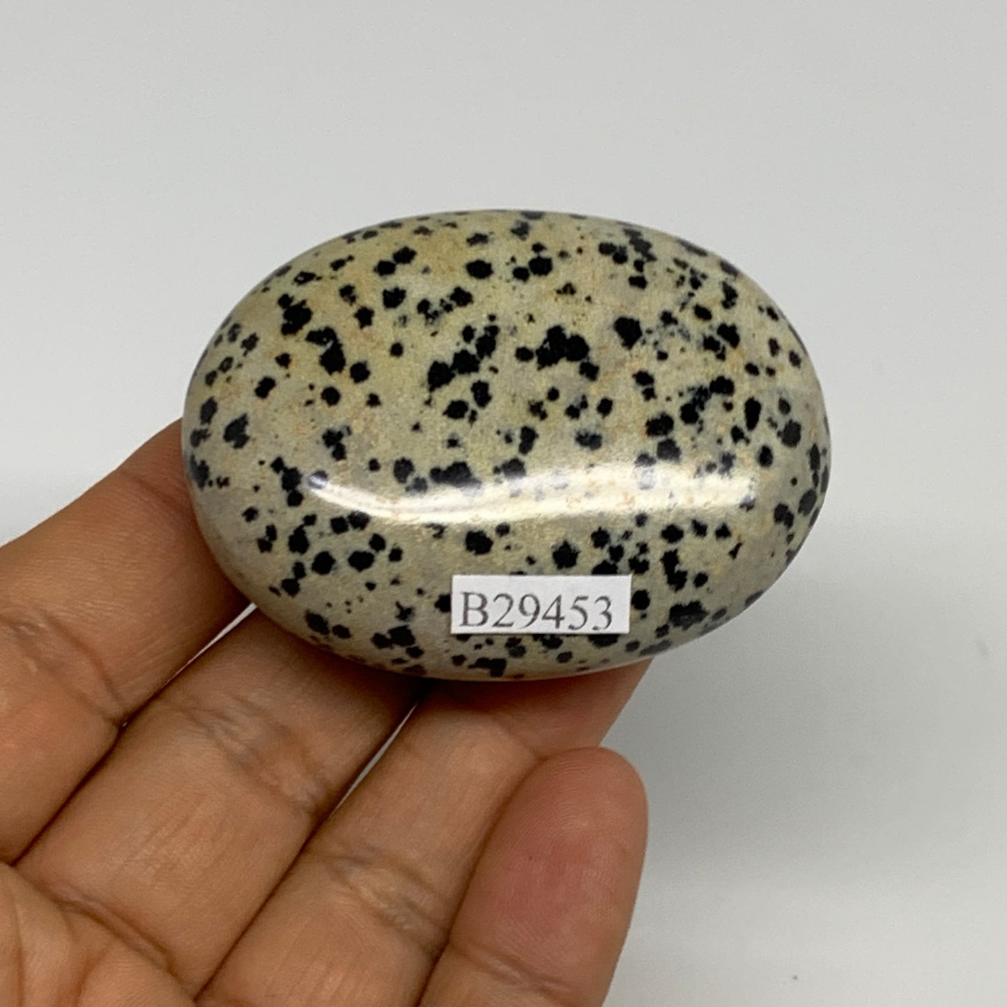 78.1g, 2.2"x1.7"x0.8", Natural Dalmatian Jasper Palm-Stone @India, B29453