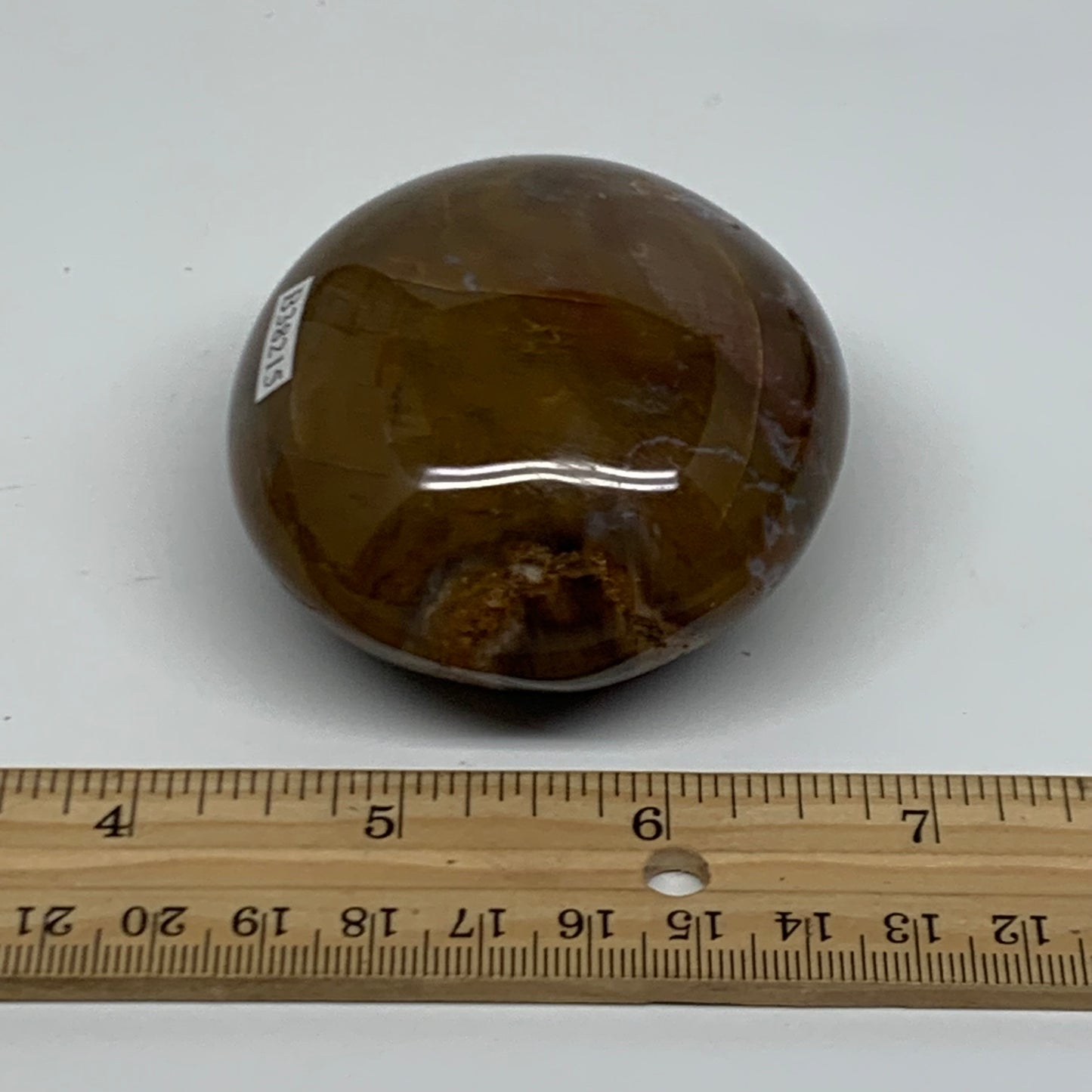 222.2g, 2.7"x2.5"x1.5" Natural Ocean Jasper Palm-Stone Orbicular Jasper, B38215