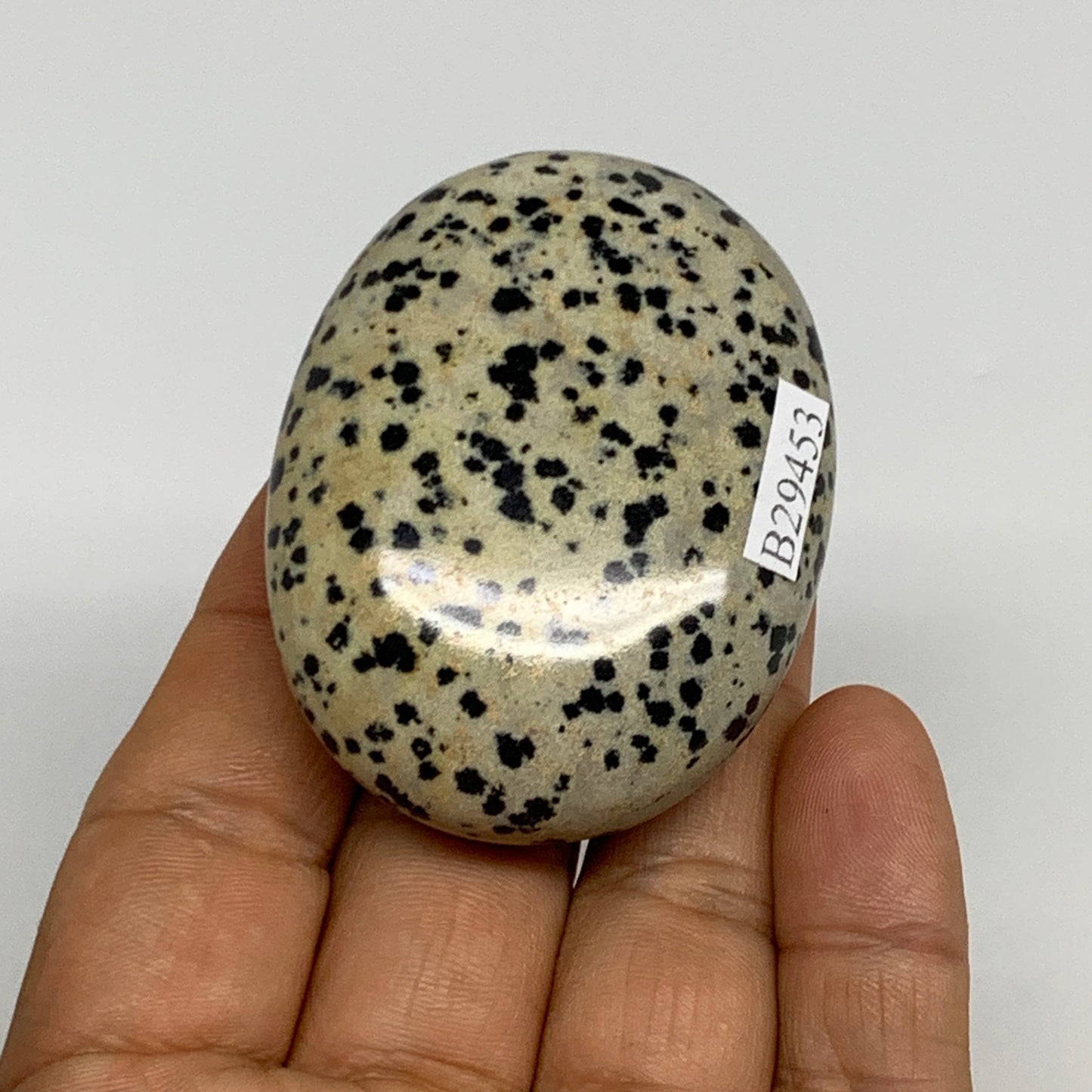 78.1g, 2.2"x1.7"x0.8", Natural Dalmatian Jasper Palm-Stone @India, B29453