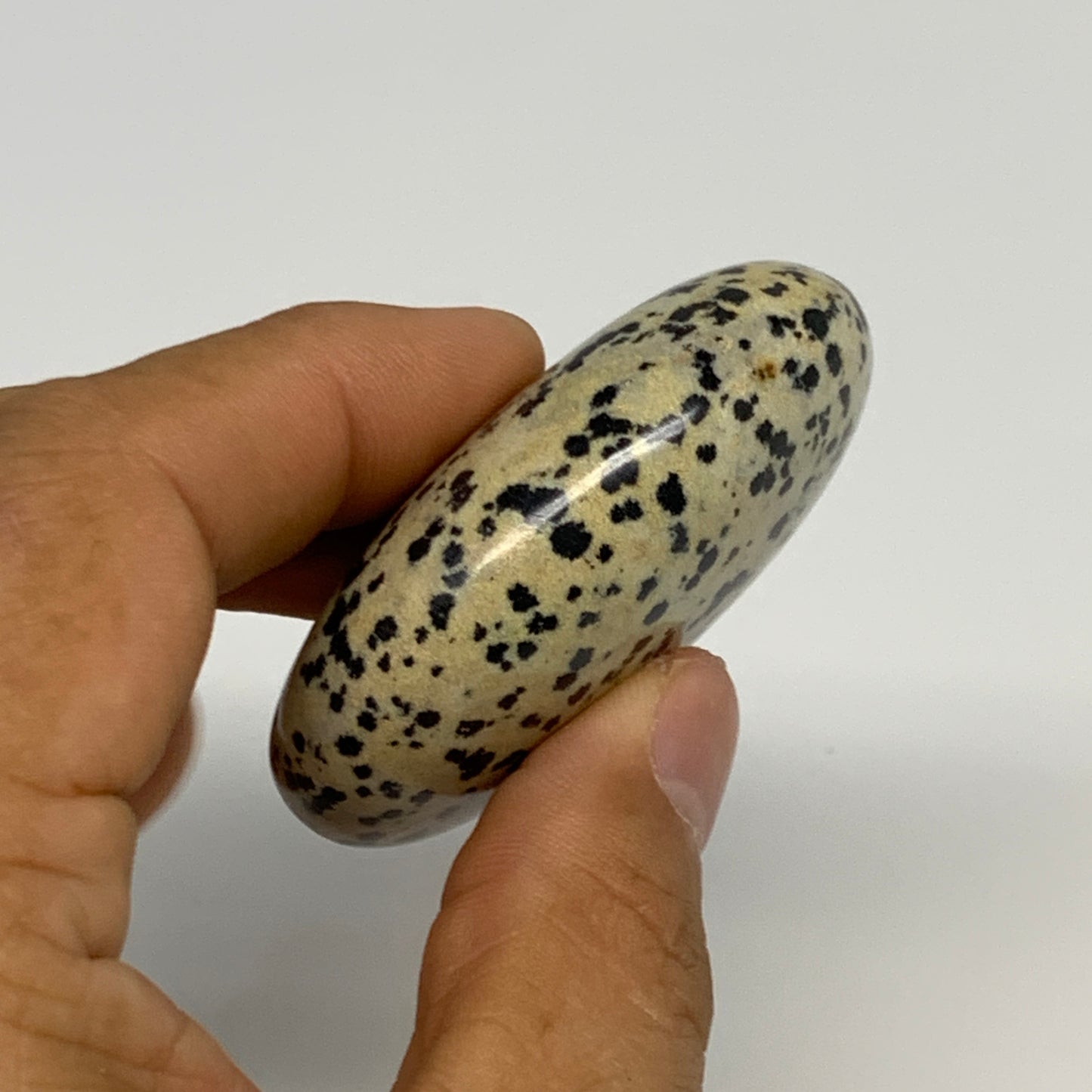78.1g, 2.2"x1.7"x0.8", Natural Dalmatian Jasper Palm-Stone @India, B29453
