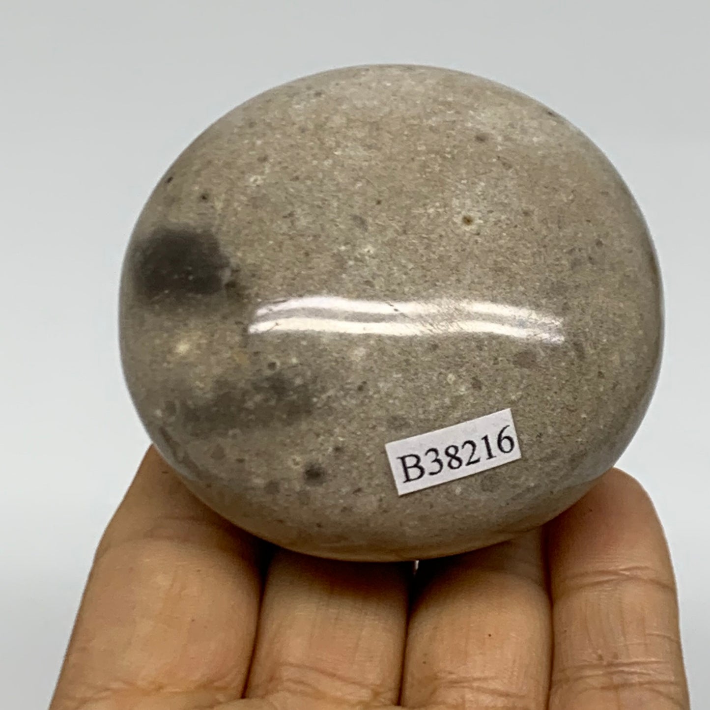 216.1g, 2.5"x2.4"x1.7" Natural Ocean Jasper Palm-Stone Orbicular Jasper, B38216