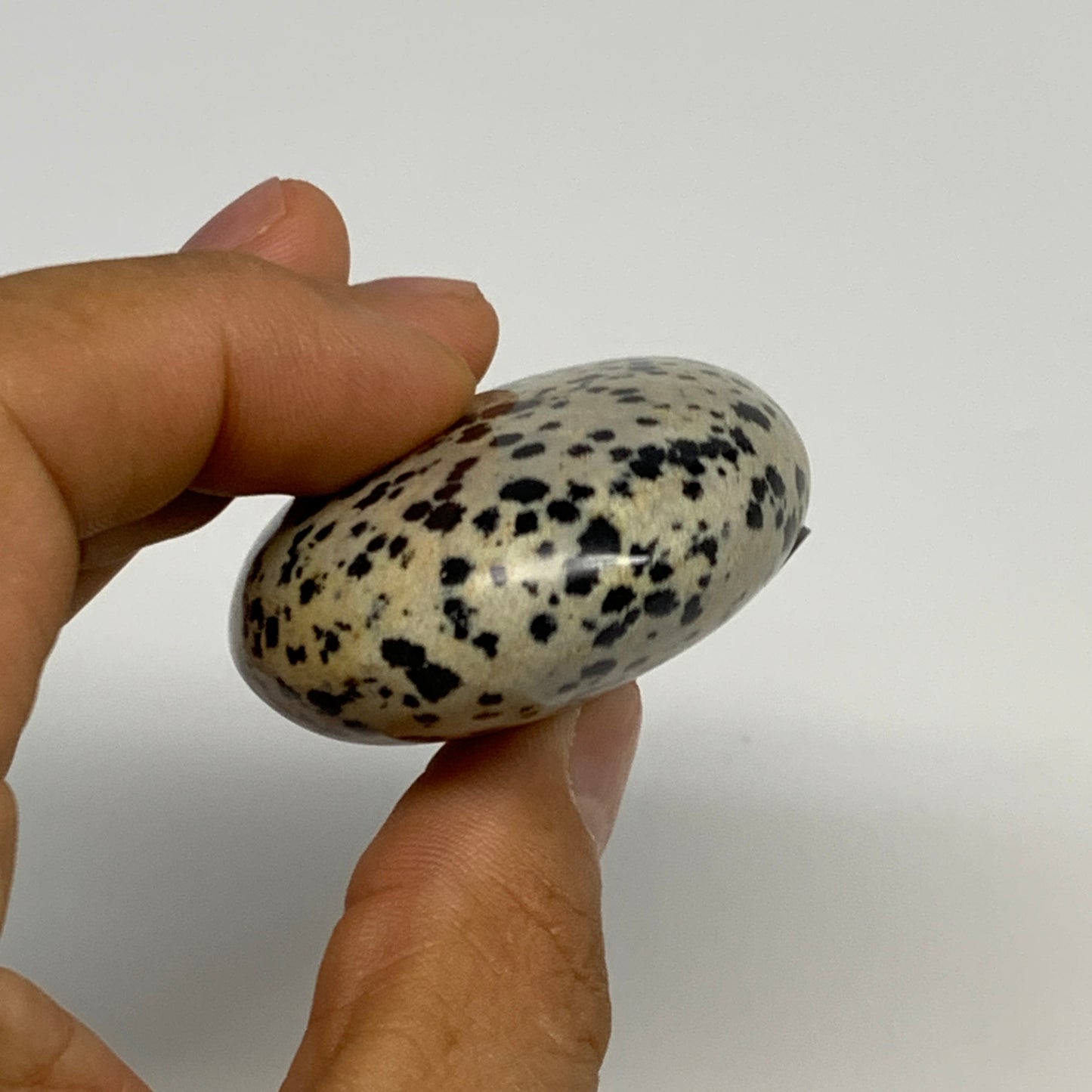 78.1g, 2.2"x1.7"x0.8", Natural Dalmatian Jasper Palm-Stone @India, B29453