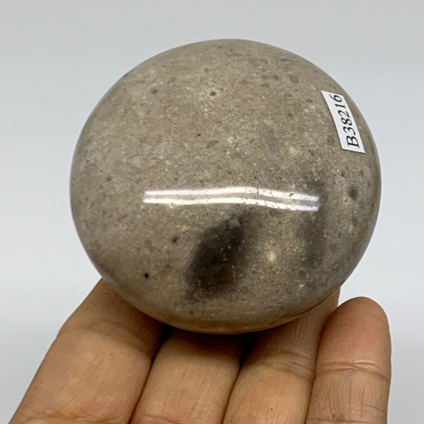 216.1g, 2.5"x2.4"x1.7" Natural Ocean Jasper Palm-Stone Orbicular Jasper, B38216