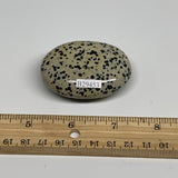 78.1g, 2.2"x1.7"x0.8", Natural Dalmatian Jasper Palm-Stone @India, B29453