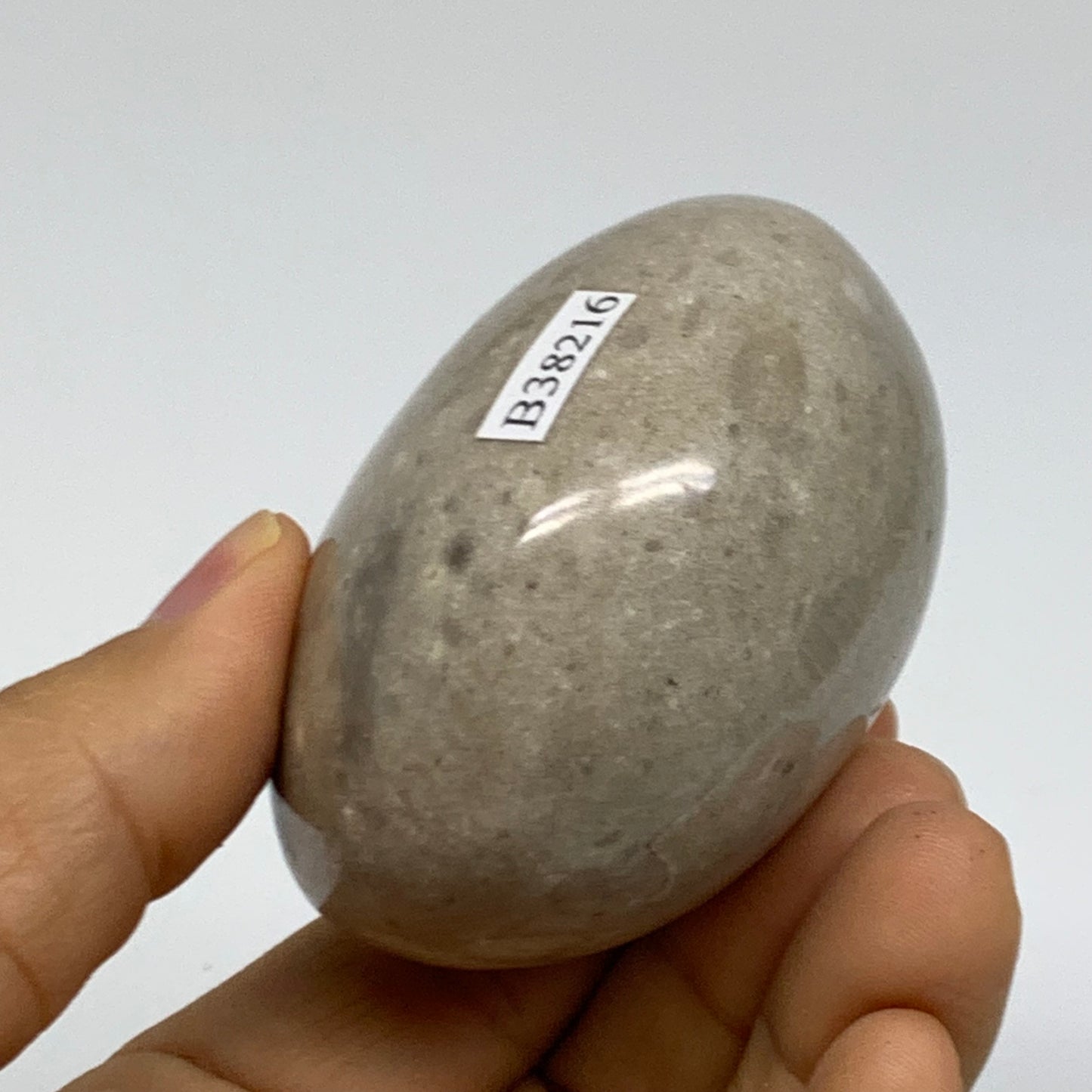 216.1g, 2.5"x2.4"x1.7" Natural Ocean Jasper Palm-Stone Orbicular Jasper, B38216