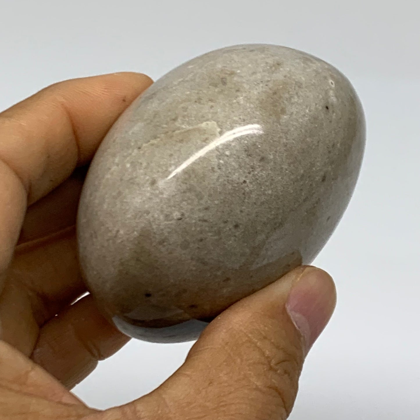 216.1g, 2.5"x2.4"x1.7" Natural Ocean Jasper Palm-Stone Orbicular Jasper, B38216