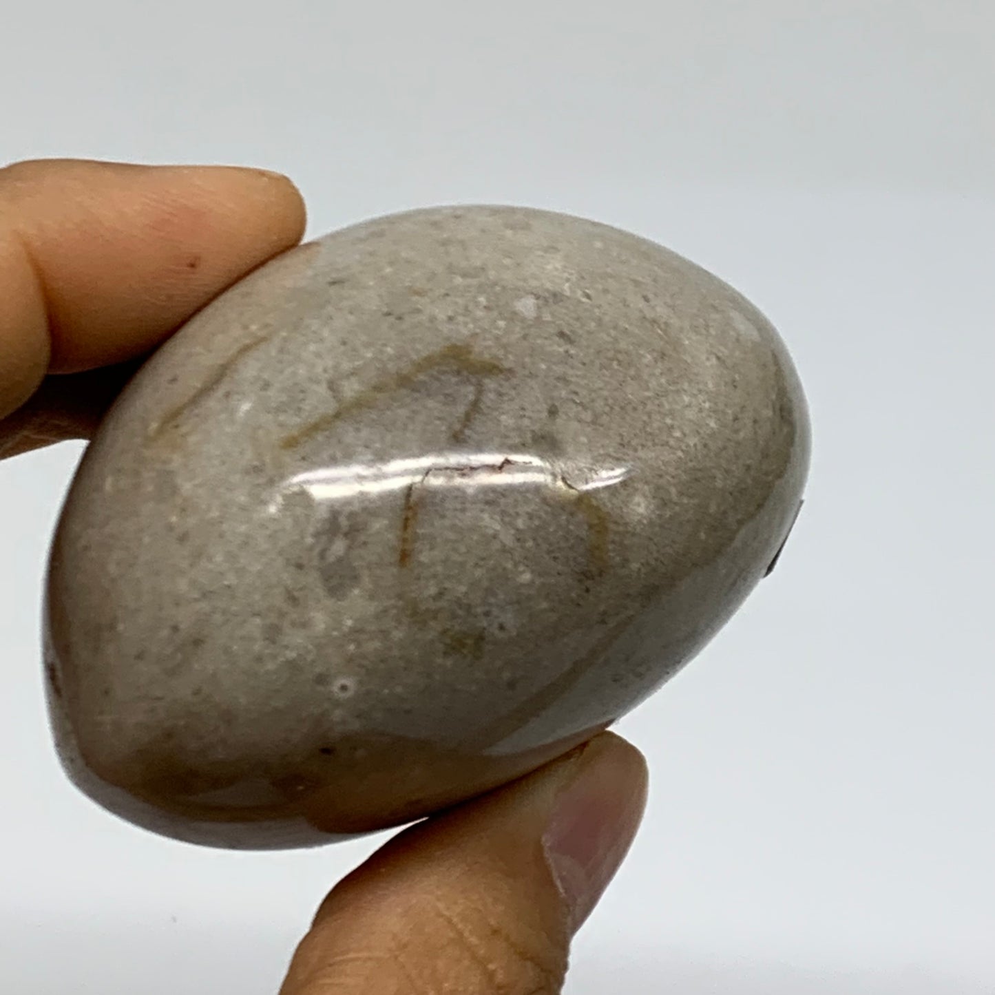 216.1g, 2.5"x2.4"x1.7" Natural Ocean Jasper Palm-Stone Orbicular Jasper, B38216