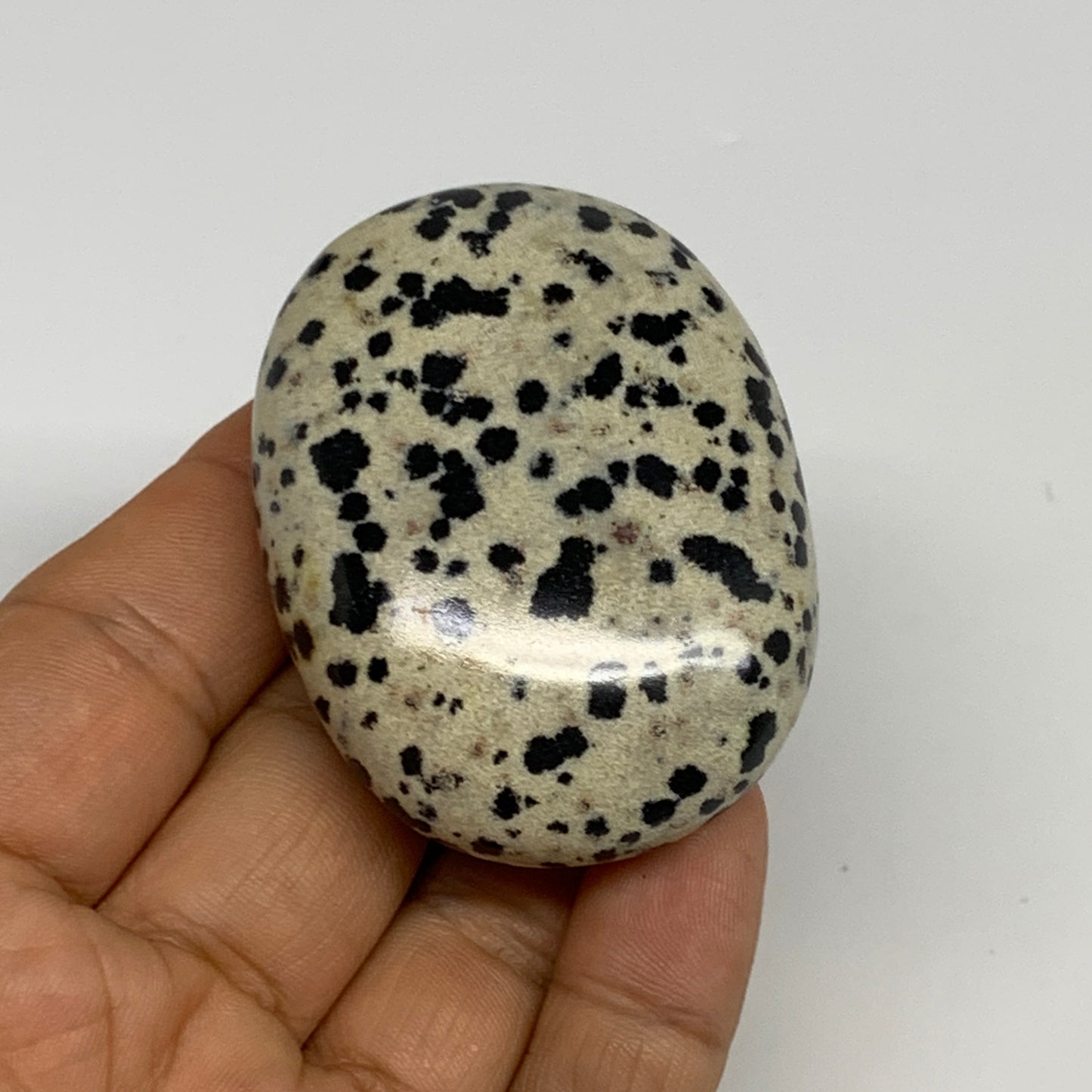 73.3g, 2.2"x1.7"x0.8", Natural Dalmatian Jasper Palm-Stone @India, B29454
