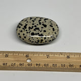 73.3g, 2.2"x1.7"x0.8", Natural Dalmatian Jasper Palm-Stone @India, B29454