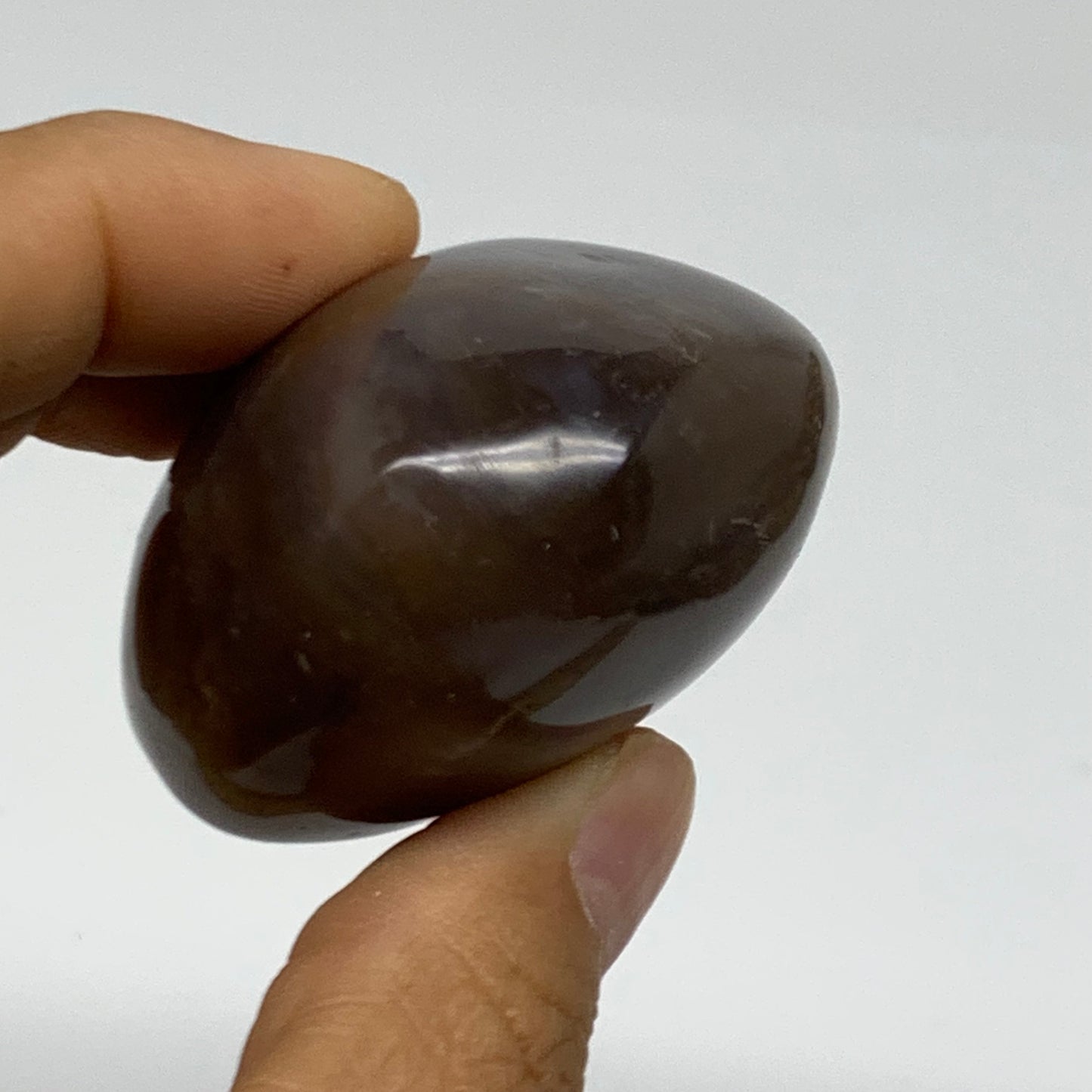 102.9g, 2.1"x1.8"x1.2" Natural Ocean Jasper Palm-Stone Orbicular Jasper, B38217