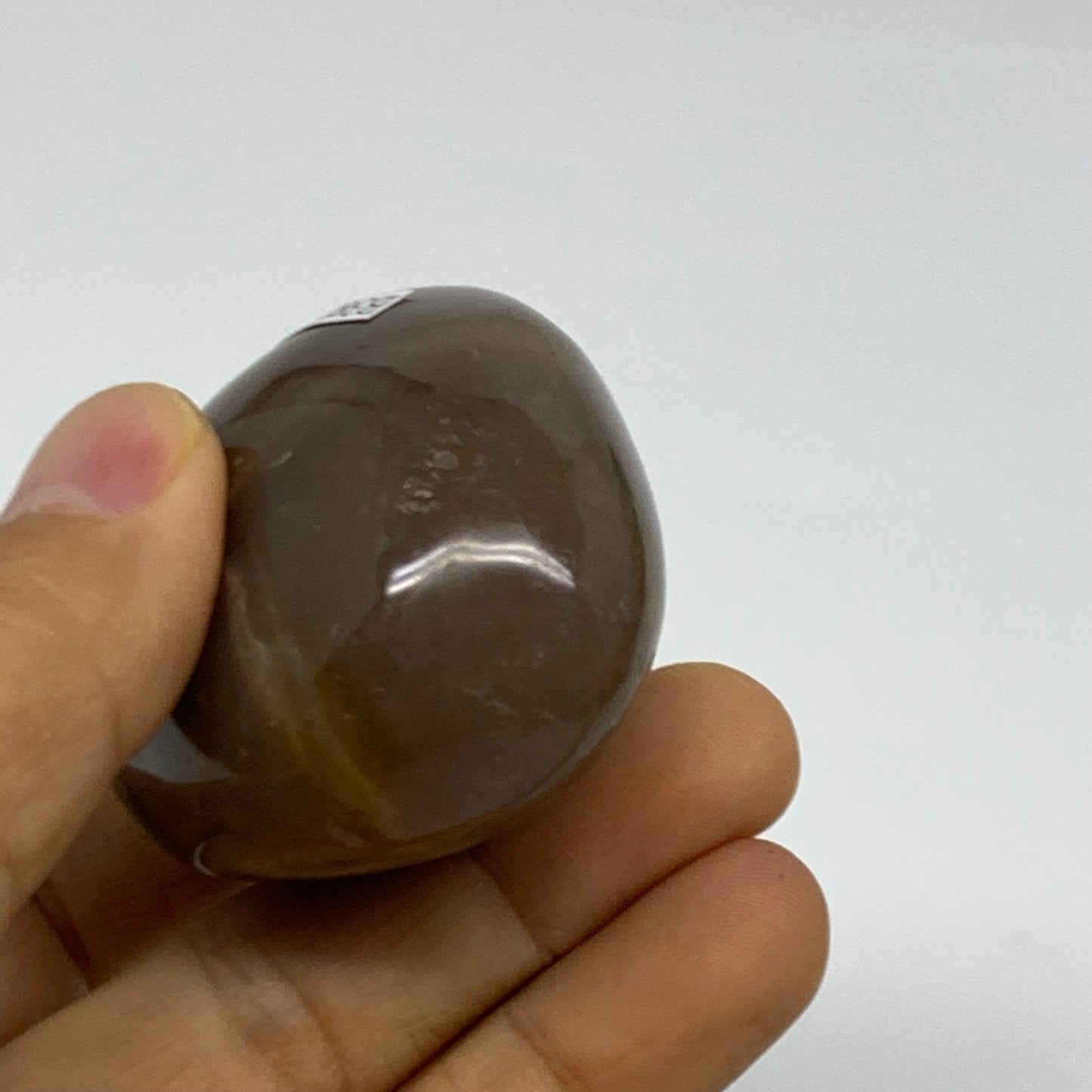 102.9g, 2.1"x1.8"x1.2" Natural Ocean Jasper Palm-Stone Orbicular Jasper, B38217