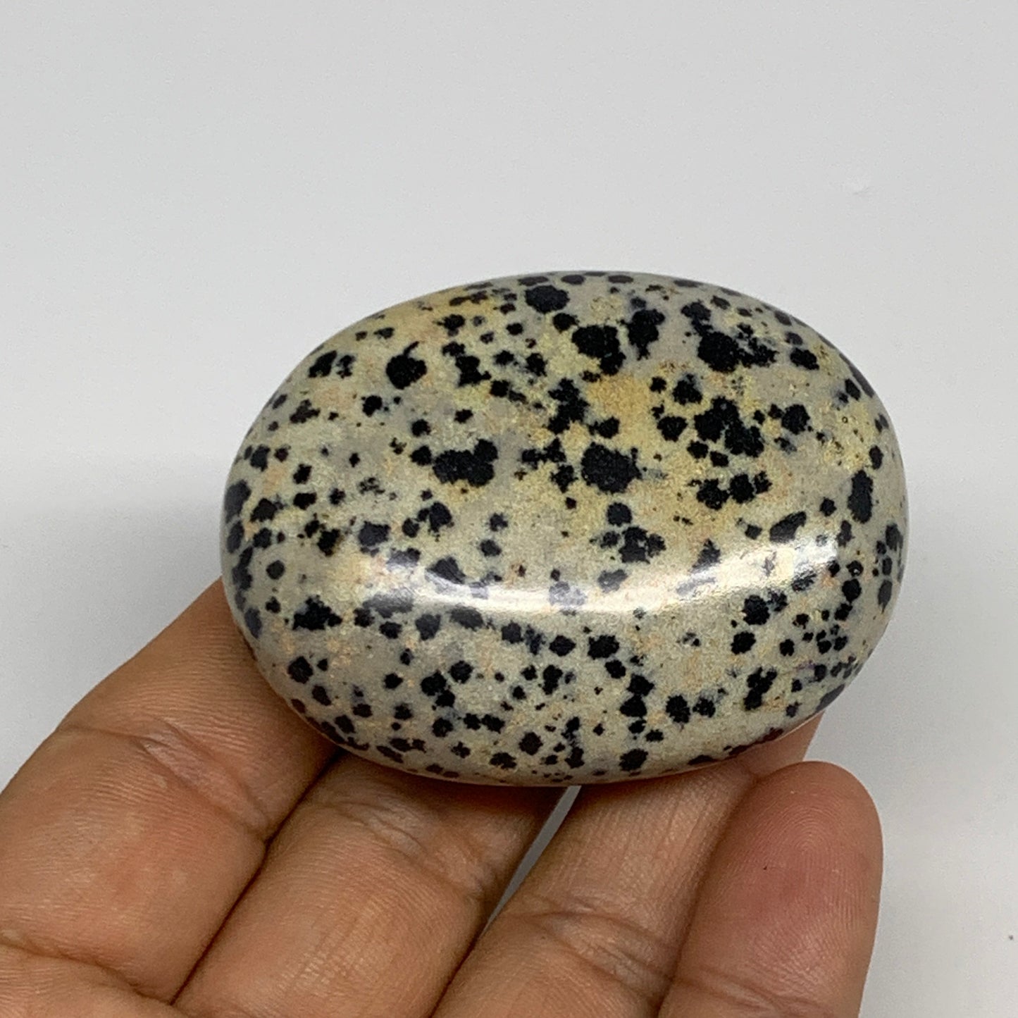 80.5g, 2.2"x1.7"x0.8", Natural Dalmatian Jasper Palm-Stone @India, B29455