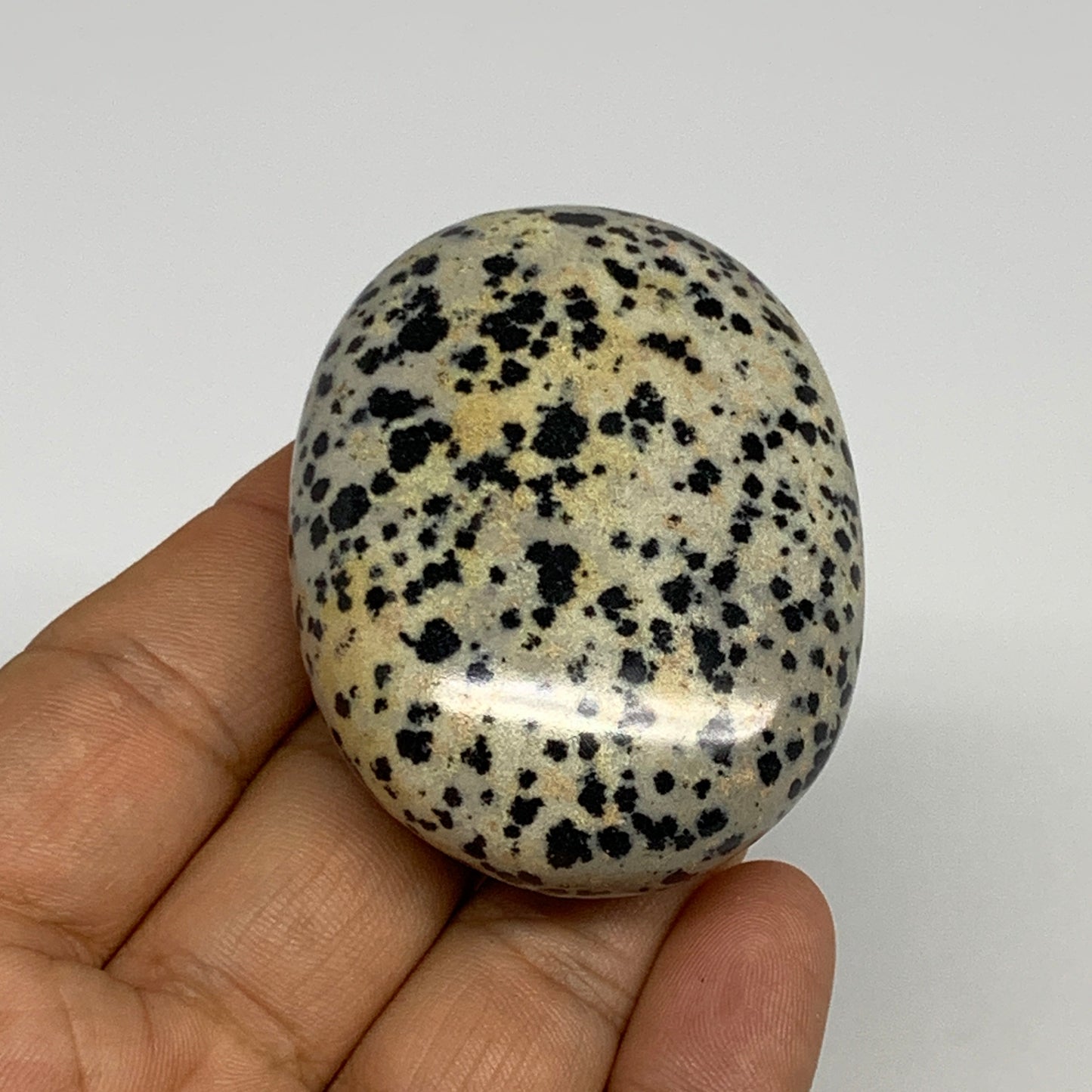 80.5g, 2.2"x1.7"x0.8", Natural Dalmatian Jasper Palm-Stone @India, B29455
