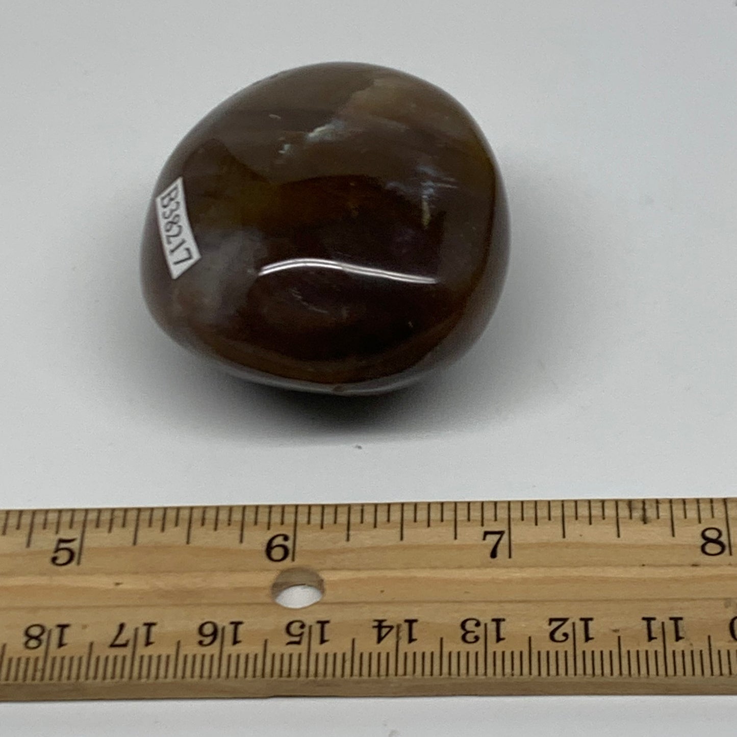 102.9g, 2.1"x1.8"x1.2" Natural Ocean Jasper Palm-Stone Orbicular Jasper, B38217