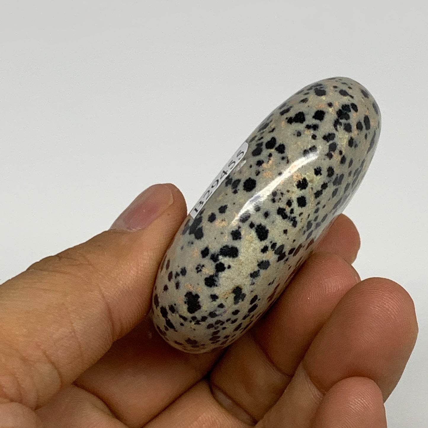 80.5g, 2.2"x1.7"x0.8", Natural Dalmatian Jasper Palm-Stone @India, B29455