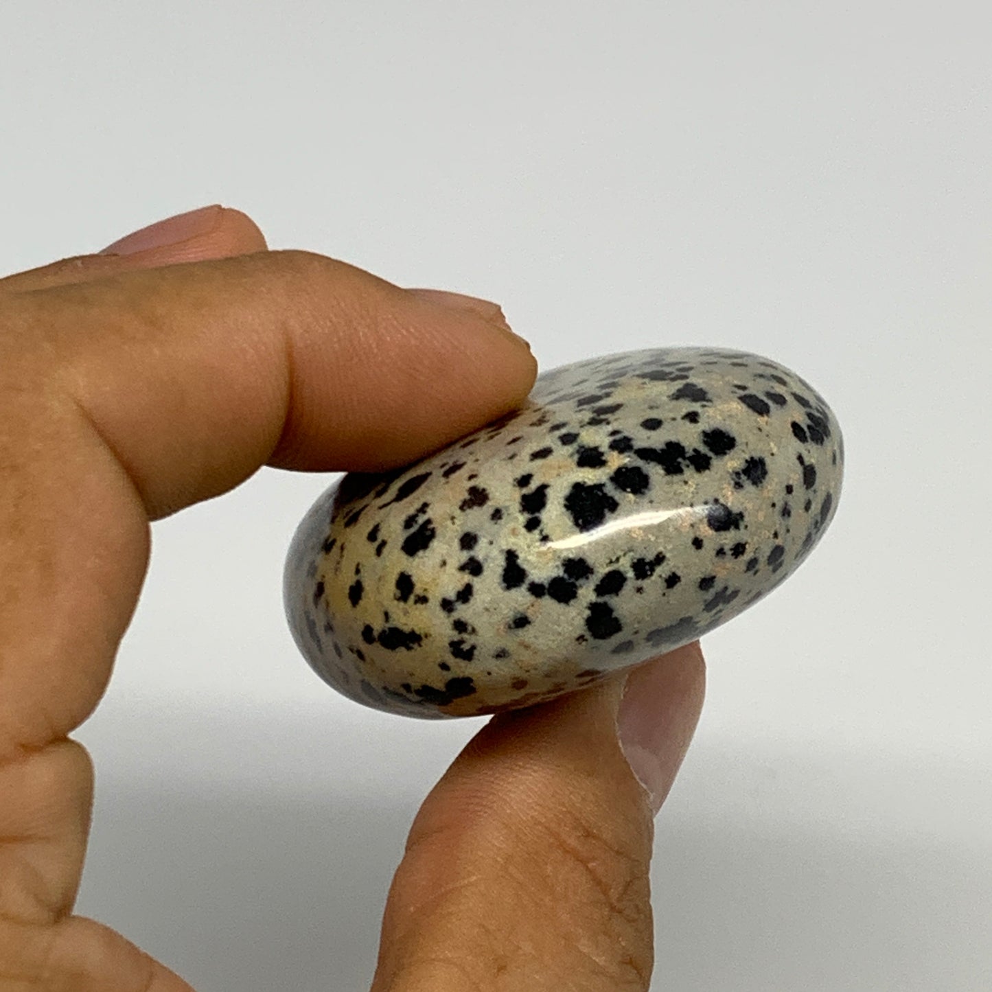 80.5g, 2.2"x1.7"x0.8", Natural Dalmatian Jasper Palm-Stone @India, B29455