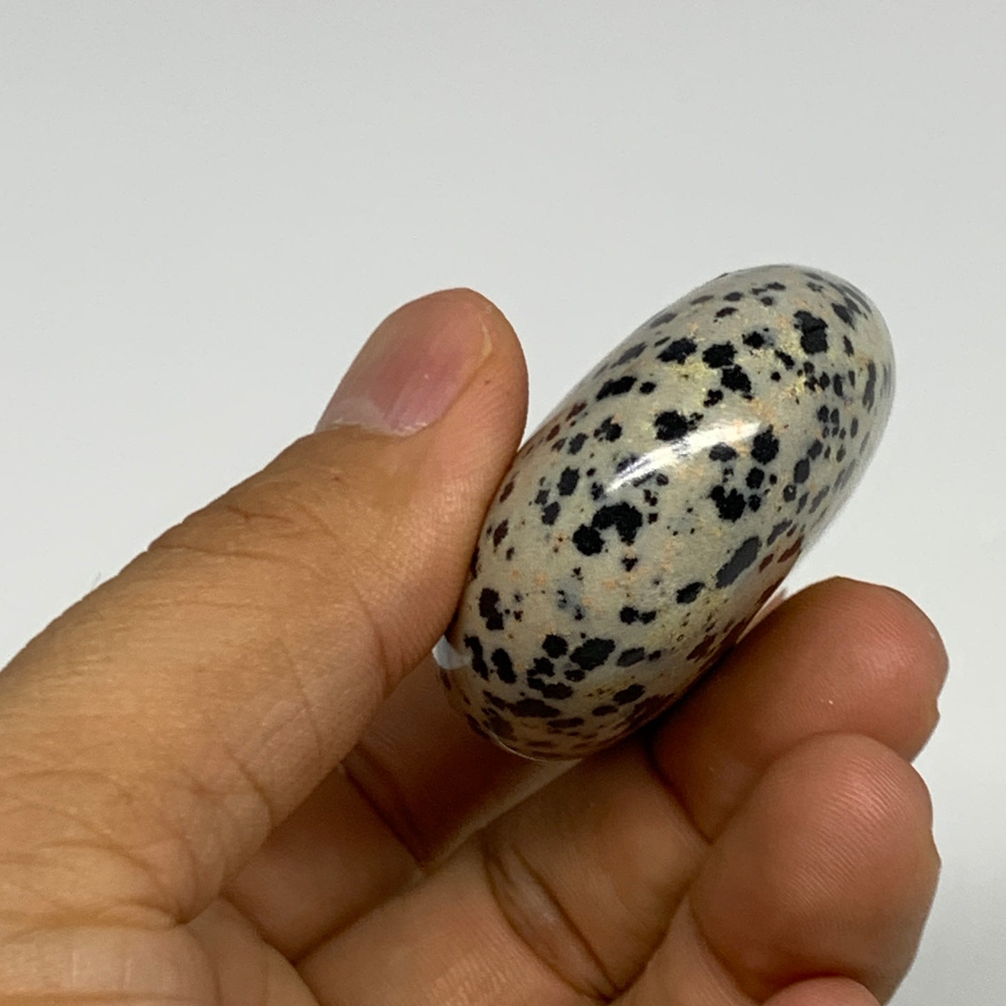 80.5g, 2.2"x1.7"x0.8", Natural Dalmatian Jasper Palm-Stone @India, B29455