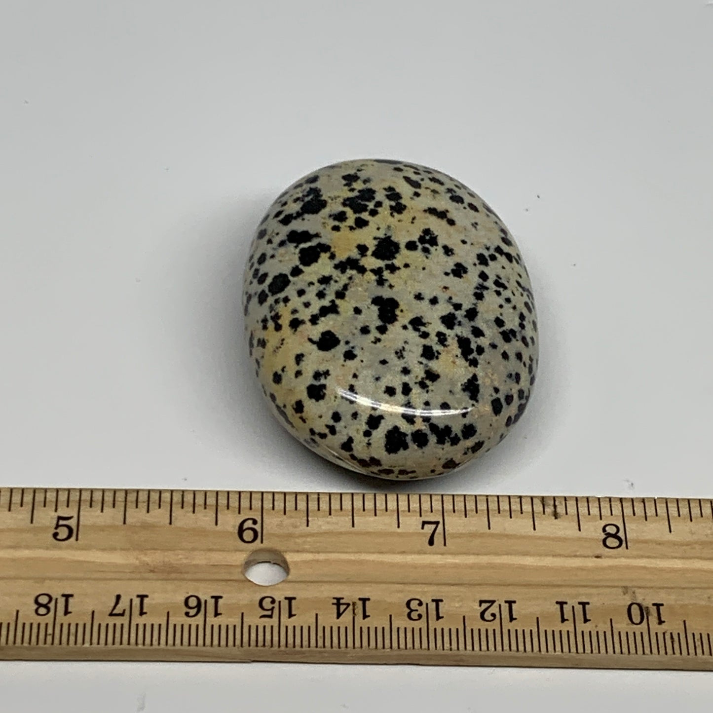 80.5g, 2.2"x1.7"x0.8", Natural Dalmatian Jasper Palm-Stone @India, B29455