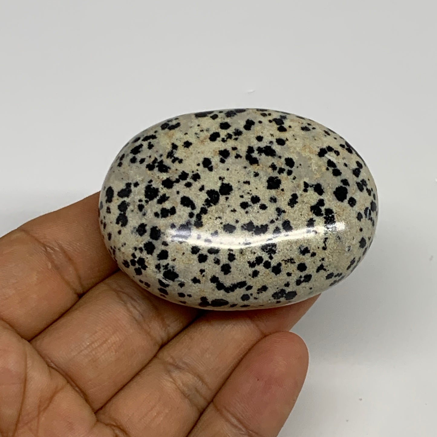 80.6g, 2.2"x1.7"x0.8", Natural Dalmatian Jasper Palm-Stone @India, B29456