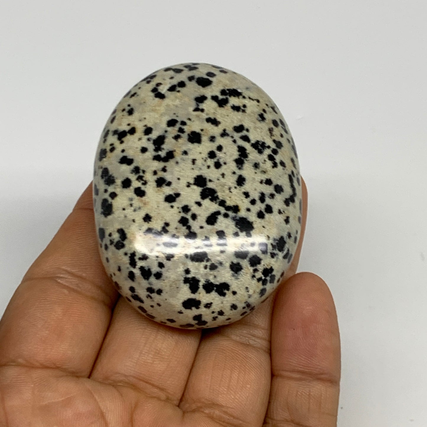 80.6g, 2.2"x1.7"x0.8", Natural Dalmatian Jasper Palm-Stone @India, B29456