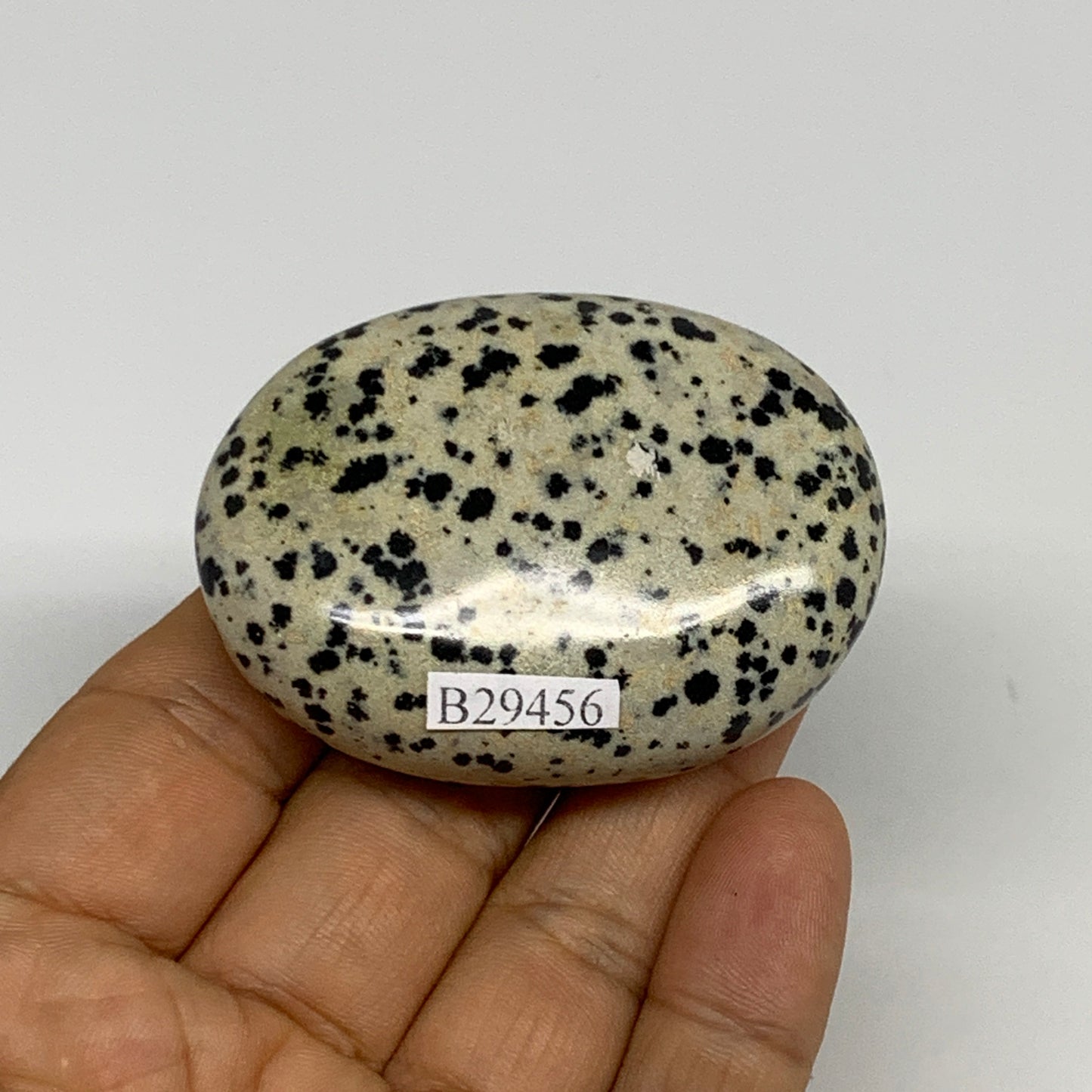 80.6g, 2.2"x1.7"x0.8", Natural Dalmatian Jasper Palm-Stone @India, B29456