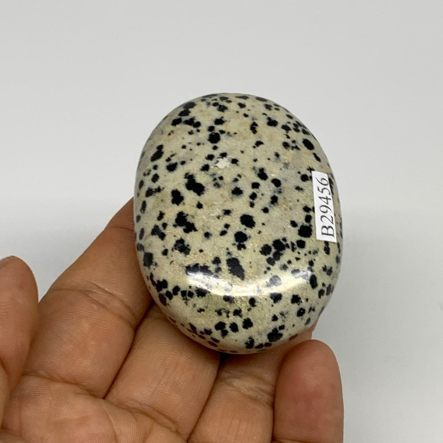 80.6g, 2.2"x1.7"x0.8", Natural Dalmatian Jasper Palm-Stone @India, B29456