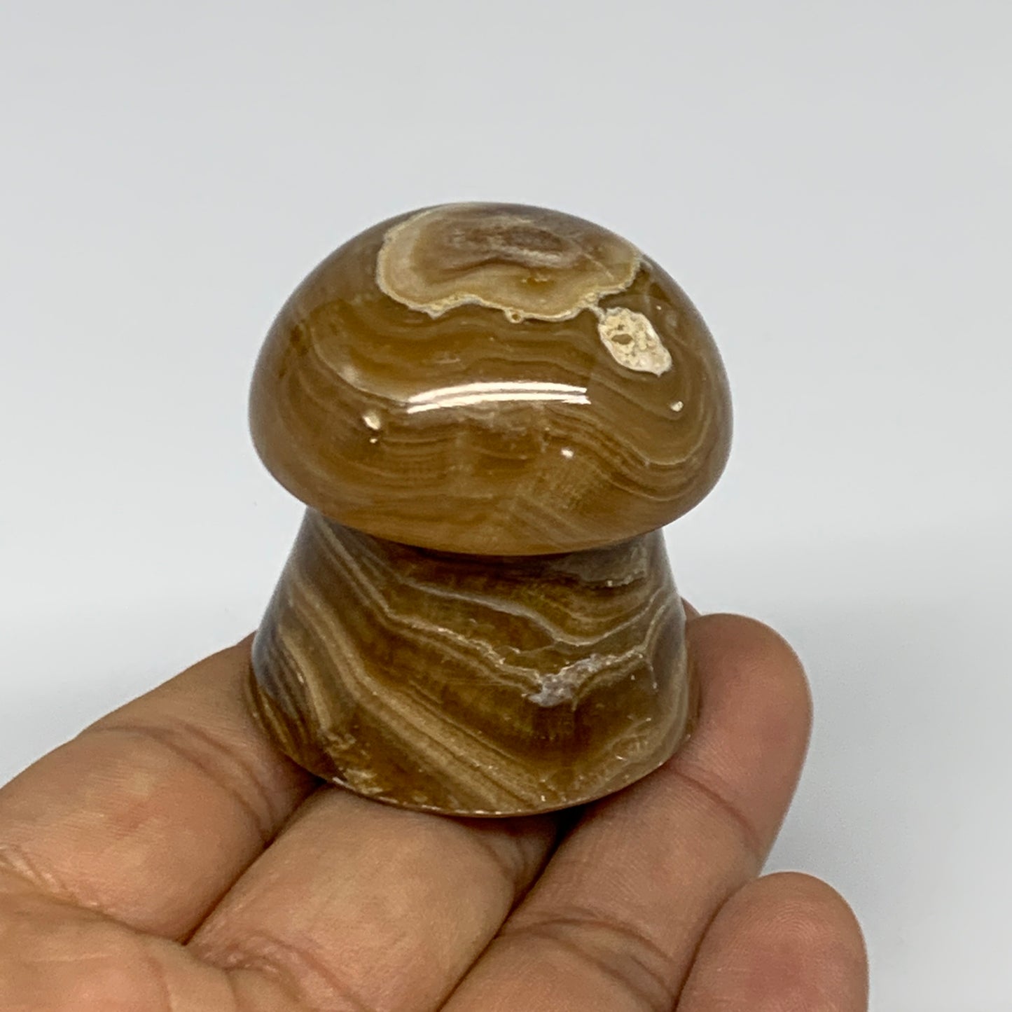 90.4g, 1.6x1.4", Chocolate Calcite Mushroom 2 Pieces bonded @Pakistan, B31697