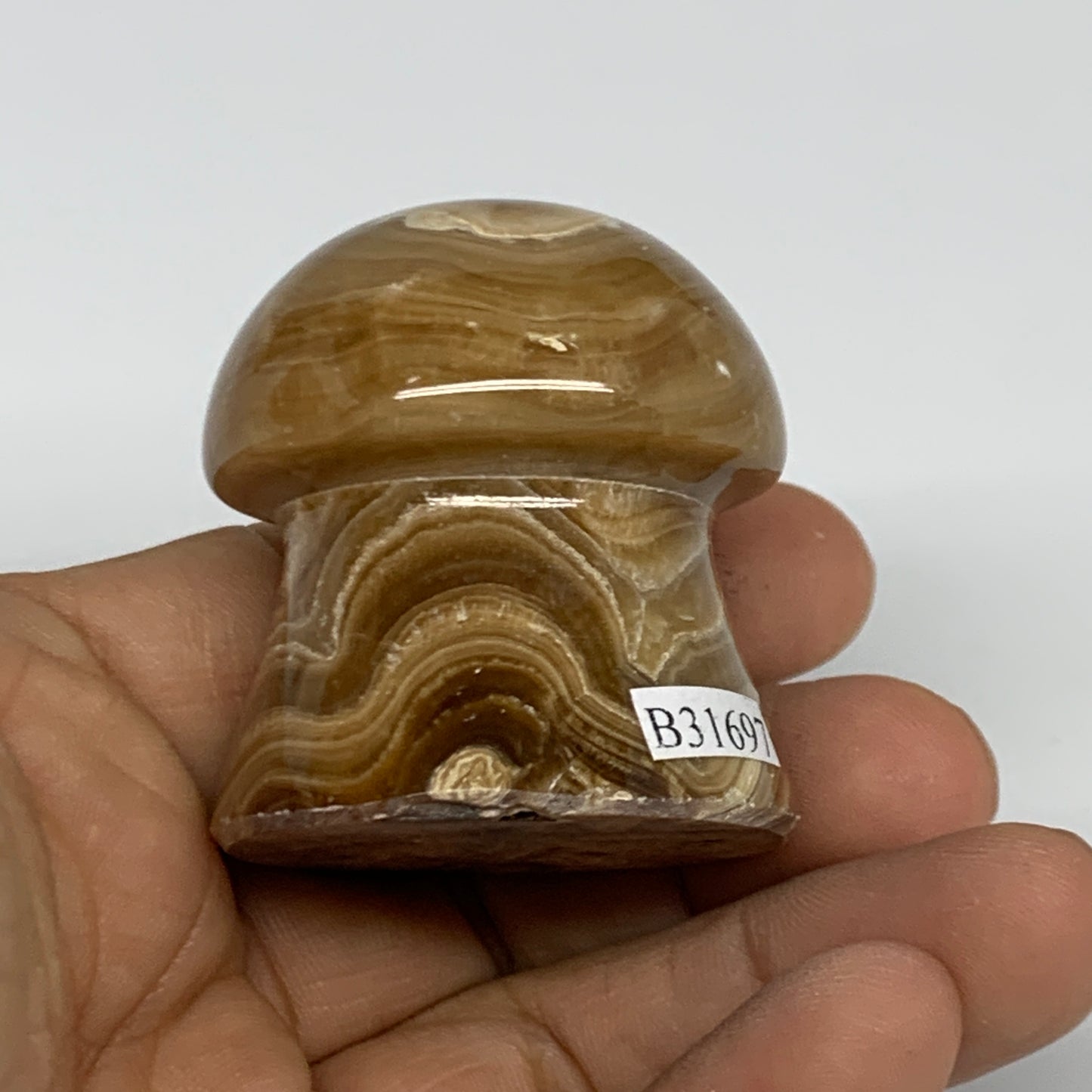 90.4g, 1.6x1.4", Chocolate Calcite Mushroom 2 Pieces bonded @Pakistan, B31697