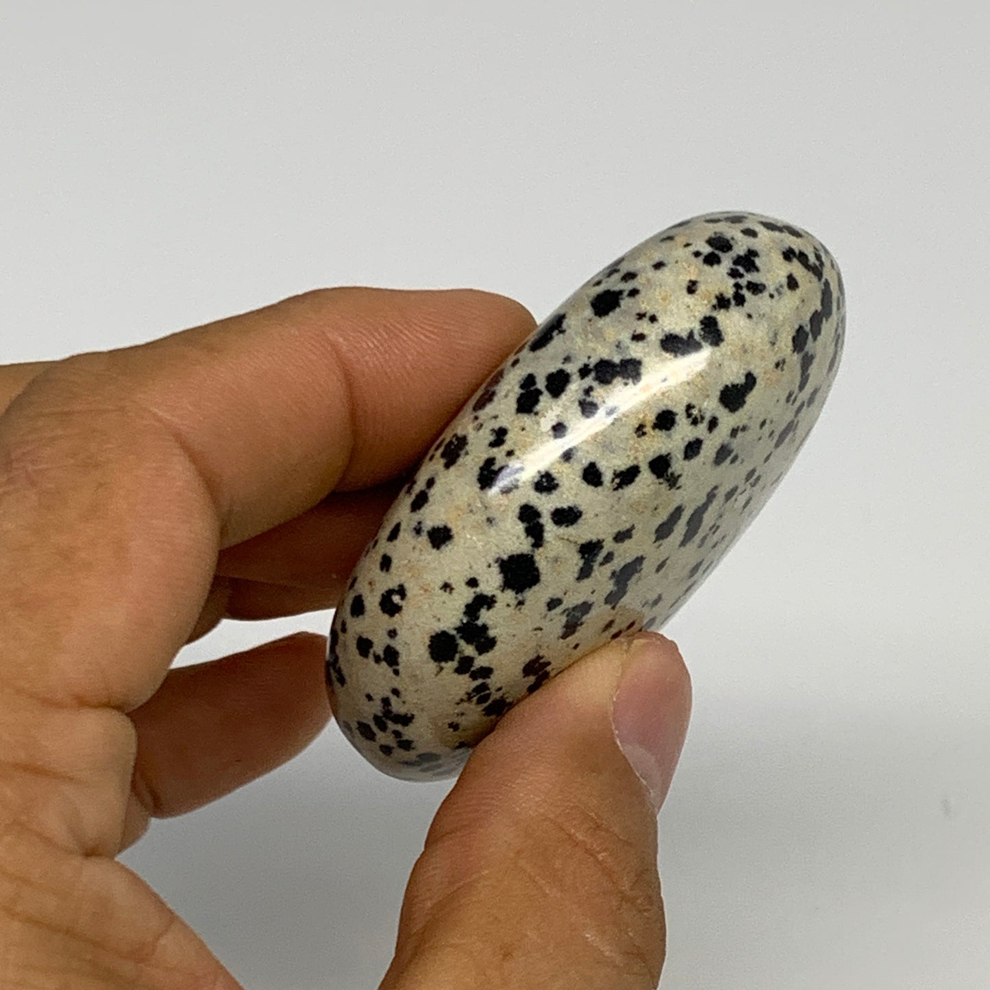 80.6g, 2.2"x1.7"x0.8", Natural Dalmatian Jasper Palm-Stone @India, B29456
